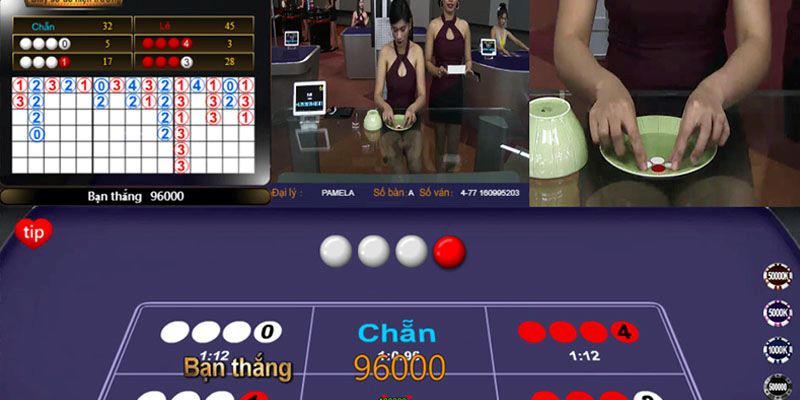 Xóc Đĩa tại OK88 – Cá cược livestream công bằng, trải nghiệm đỉnh cao 4 Chiến thuật chơi tại Xóc Đĩa OK88