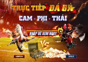 Đá Gà trực tuyến tại Nhà cái OK88